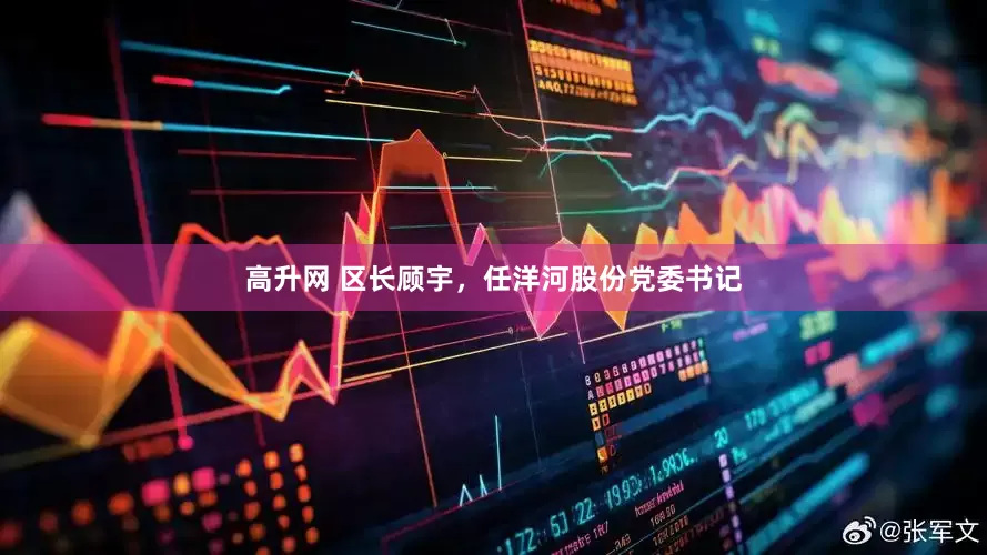 高升网 区长顾宇，任洋河股份党委书记