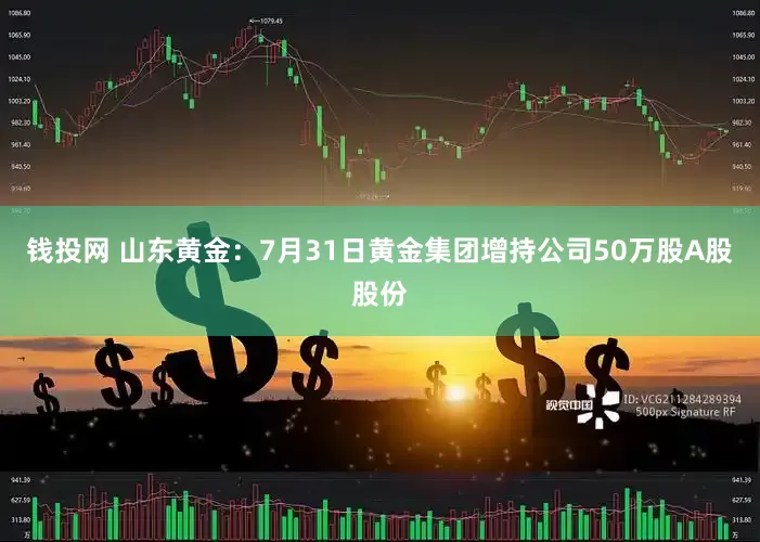 钱投网 山东黄金：7月31日黄金集团增持公司50万股A股股份