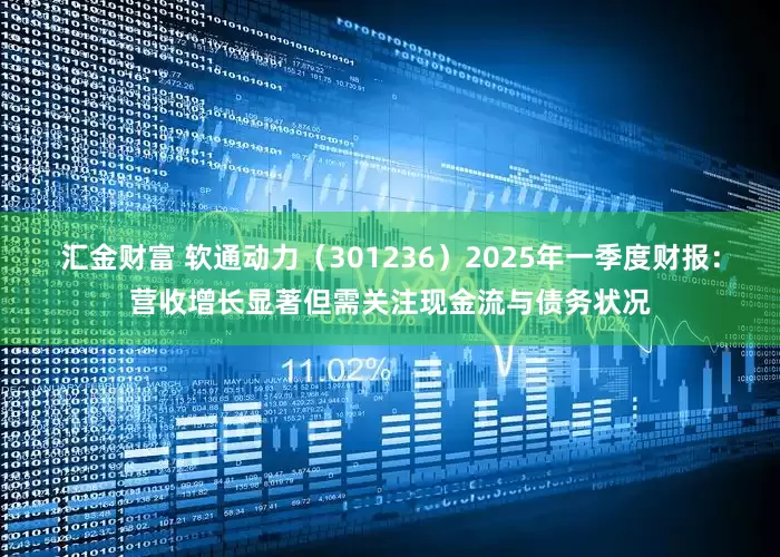 汇金财富 软通动力（301236）2025年一季度财报：营收增长显著但需关注现金流与债务状况